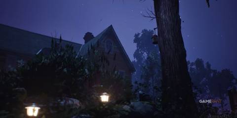 Bird Feeder Lost Records_ Bloom & Rage Infiltrating Kat's House