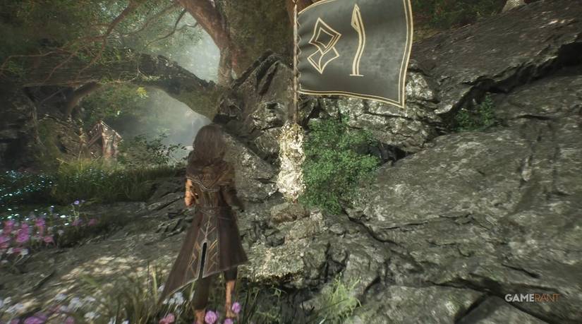 EXPEDITION 81 flag clair obscur