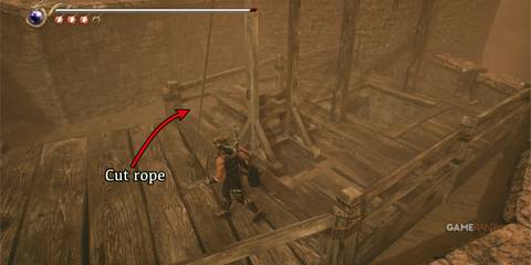 NG2B-Crystal-Skull-14-Cut-Rope