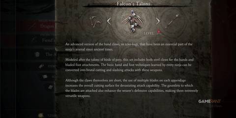 NG2B-Falcons-Talons-Header