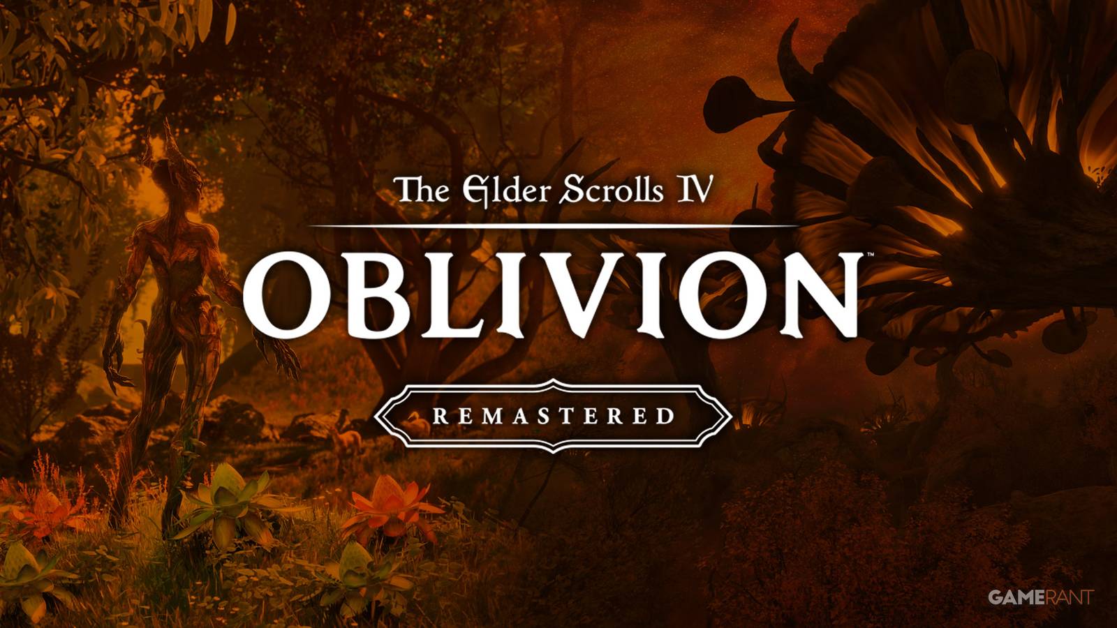 Oblivion Remastered Real Beauty Empty