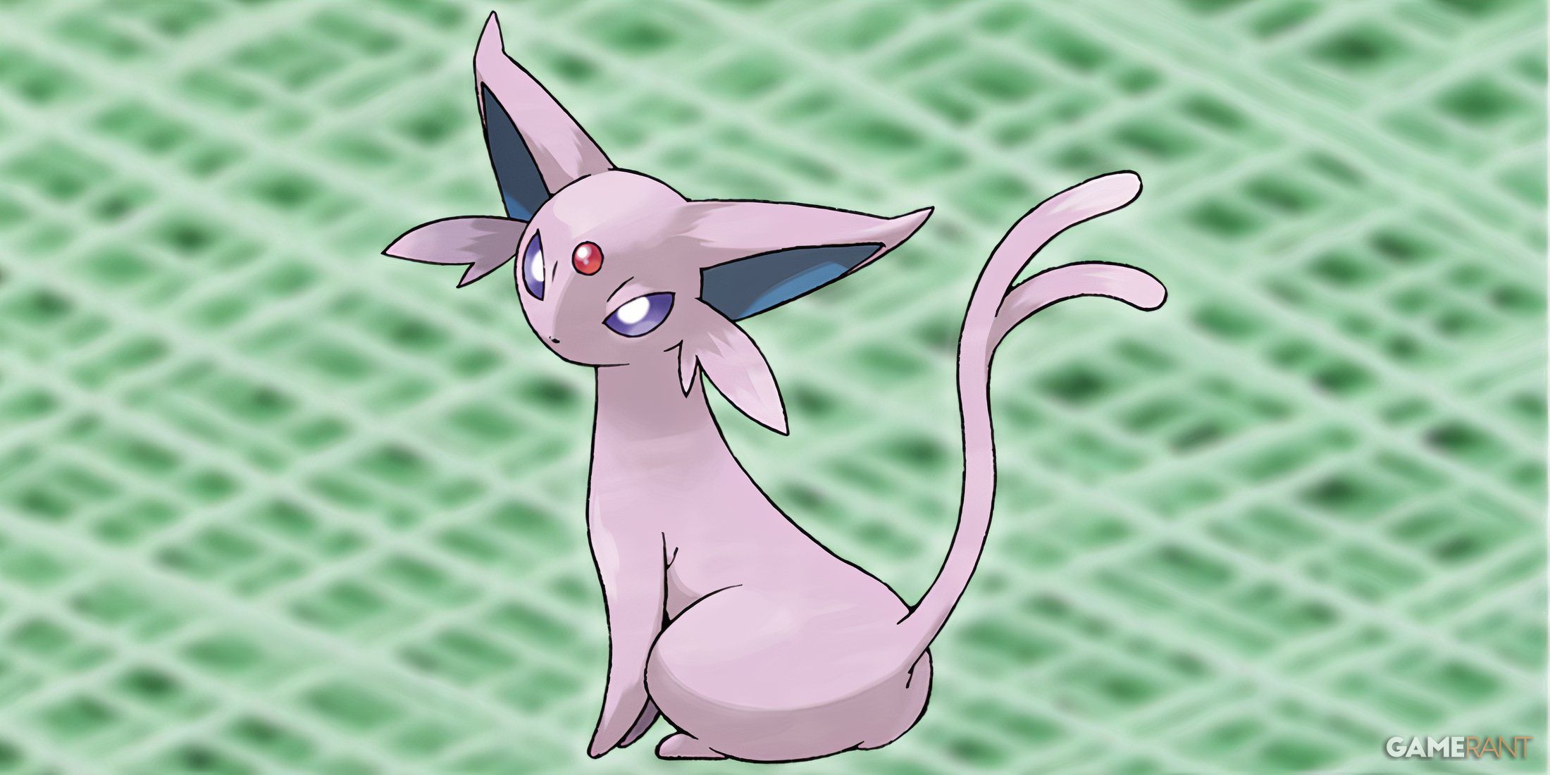 What level does pidgeotto evolve at