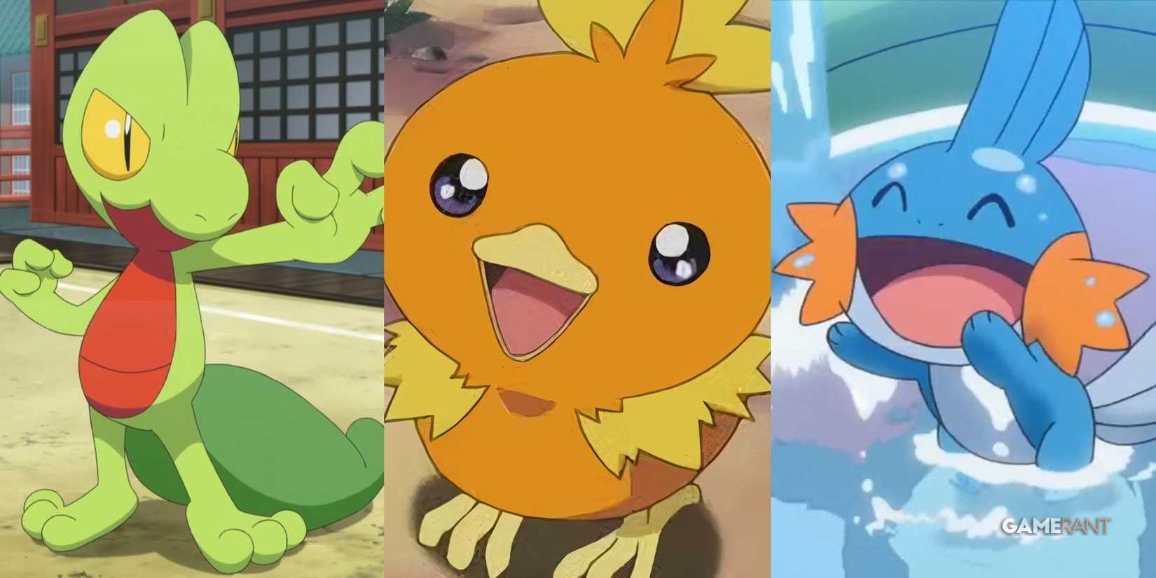 Pokemon Gen 3 starters LEGO