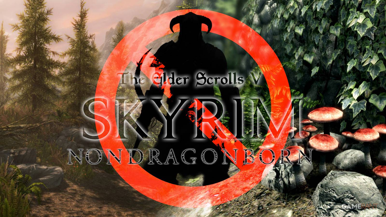 Skyrim No Dragonborn