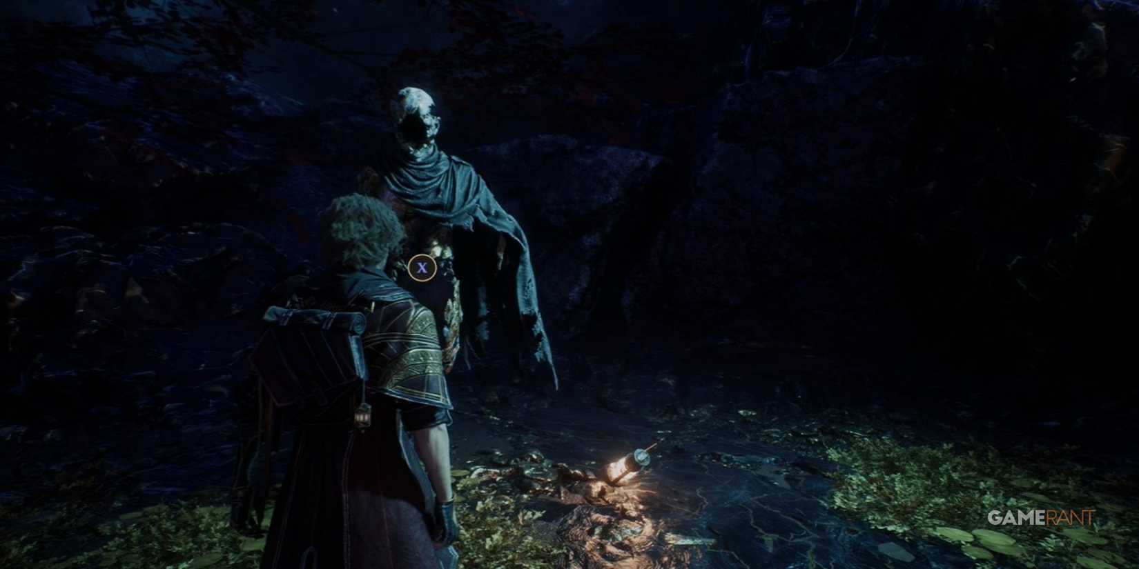 Curator Expedition 33