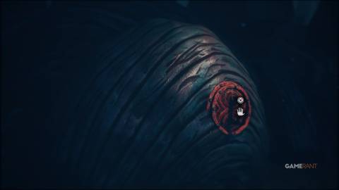 All Chapter 1 Collectibles in The Midnight Walk 22