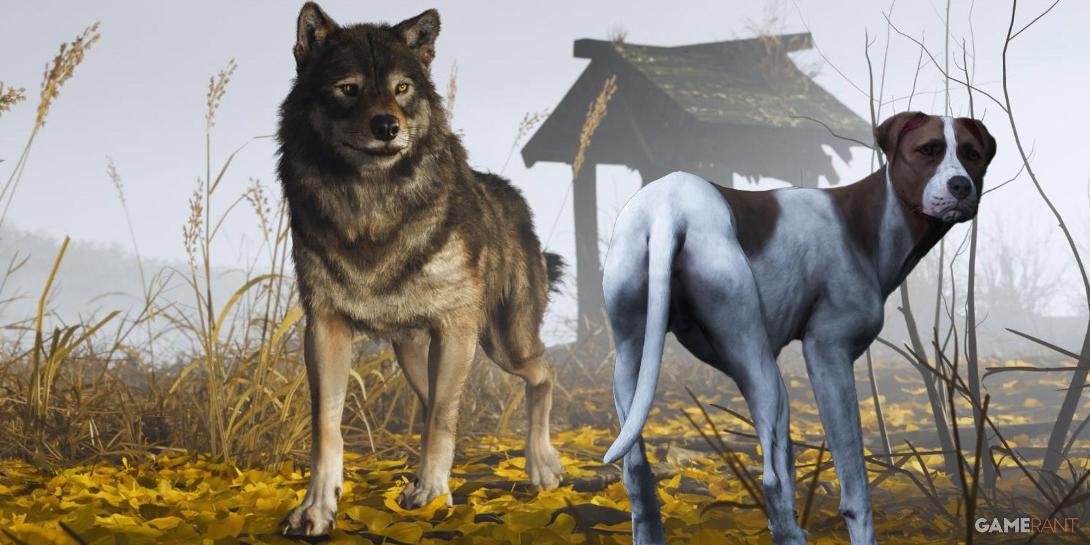 Ghost of Yotei Wolf Follow Mutt