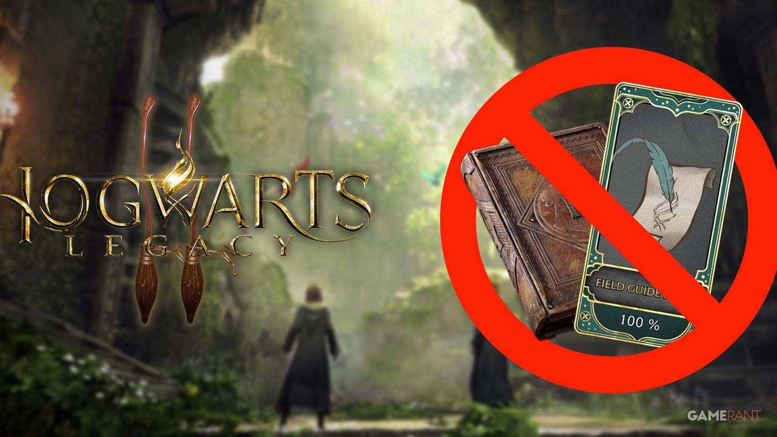 Hogwarts Legacy 2 No Guide Book