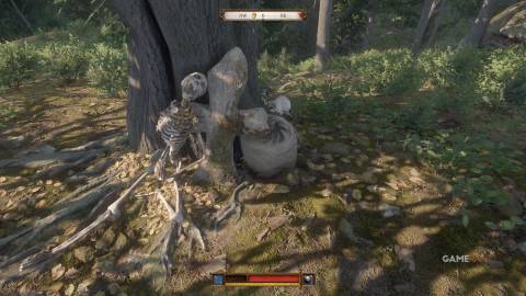 How To Get Brunswick's Armour In Kingdom Come Deliverance 2 (22)