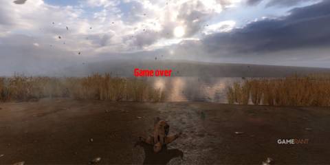 Save Often STALKER CLEAR SKY