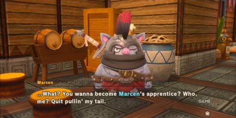 Marcen the Mercenary Master in Fantasy Life I: The Girl Who Steals Time