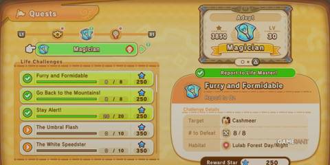 Magician quests in Fantasy Life I: The Girl Who Steals Time