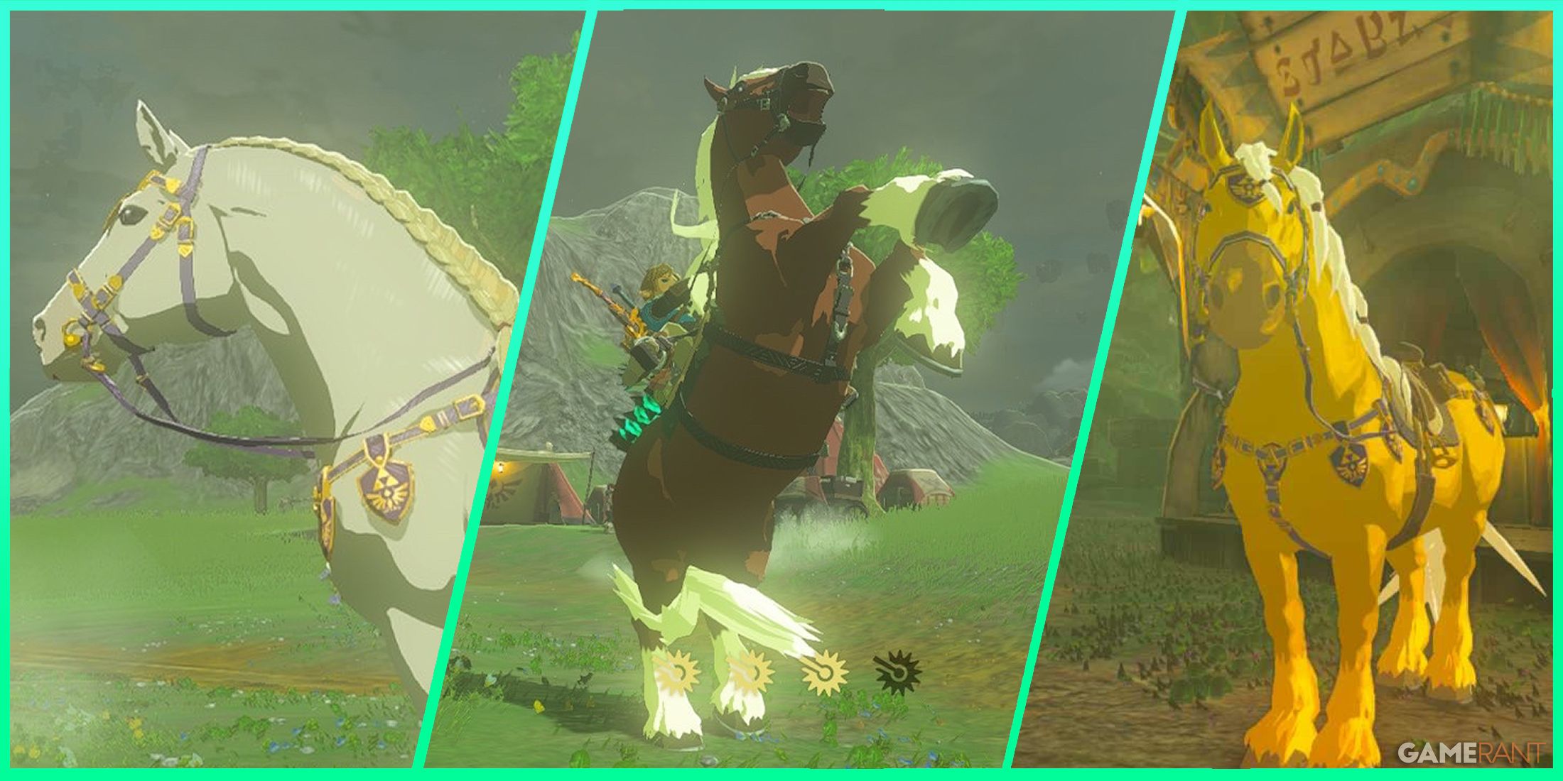 Zelda Totk All unique horses have pictures
