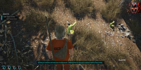 Backpack Cactus SCUM 1.0-1