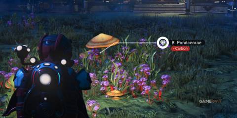 Carbon Comes From Plants In No Man's Sky