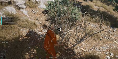 Cut Bush How to make fire SCUM 1.0