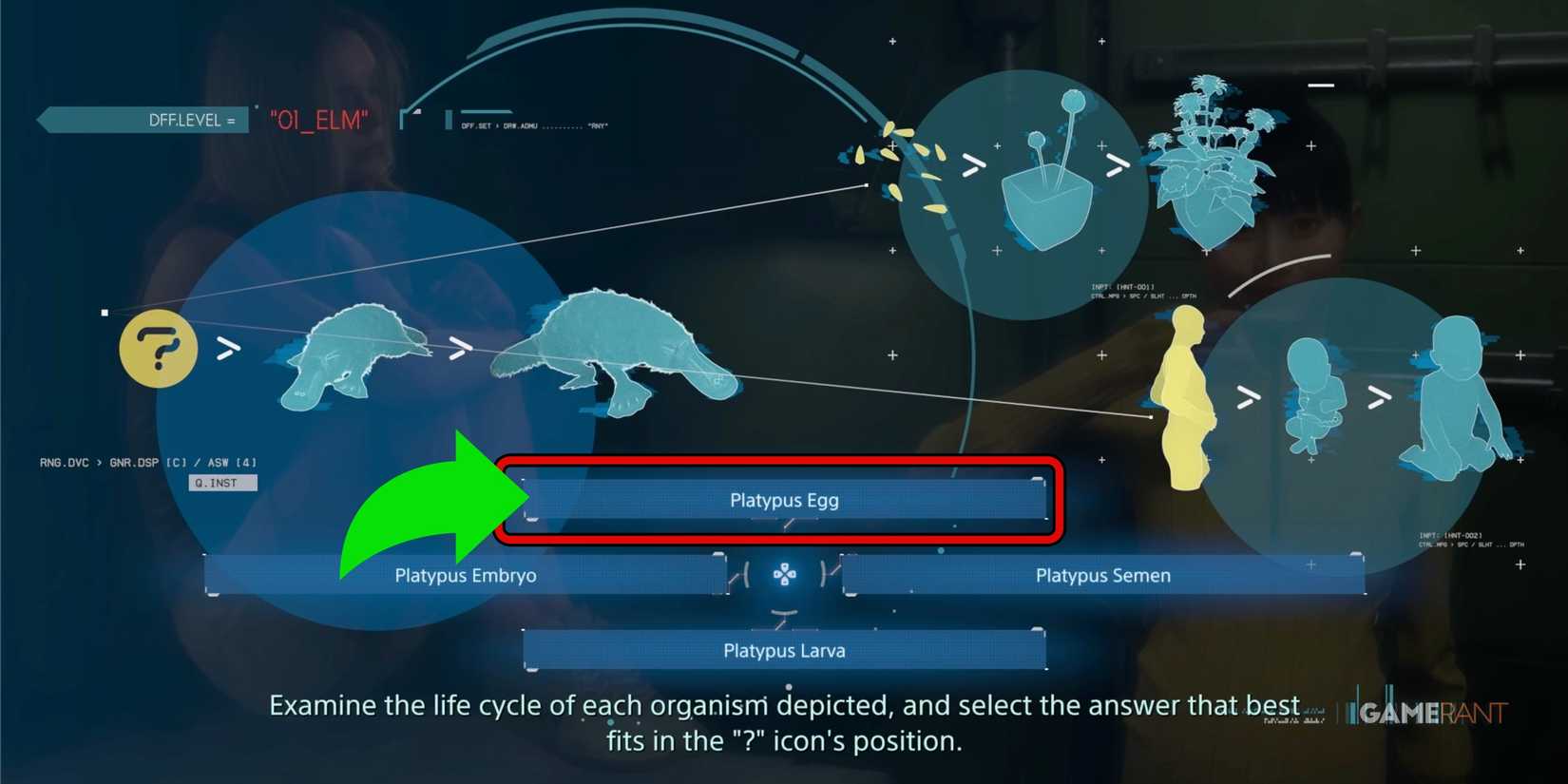 DS2-Rainy-Quiz-Answer-1