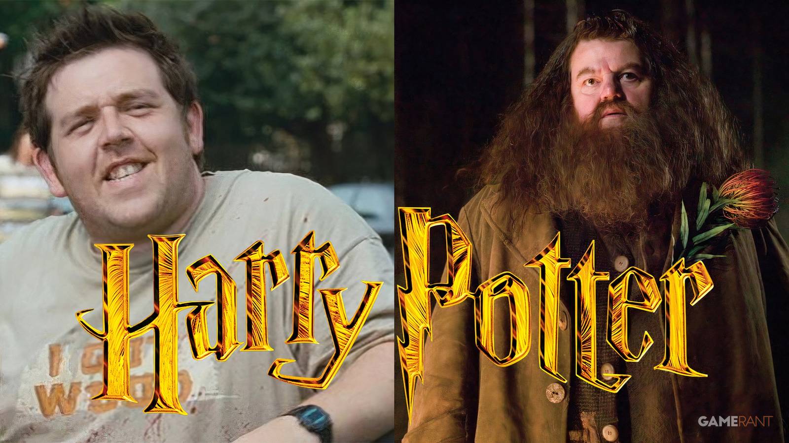 Hagrid feature image