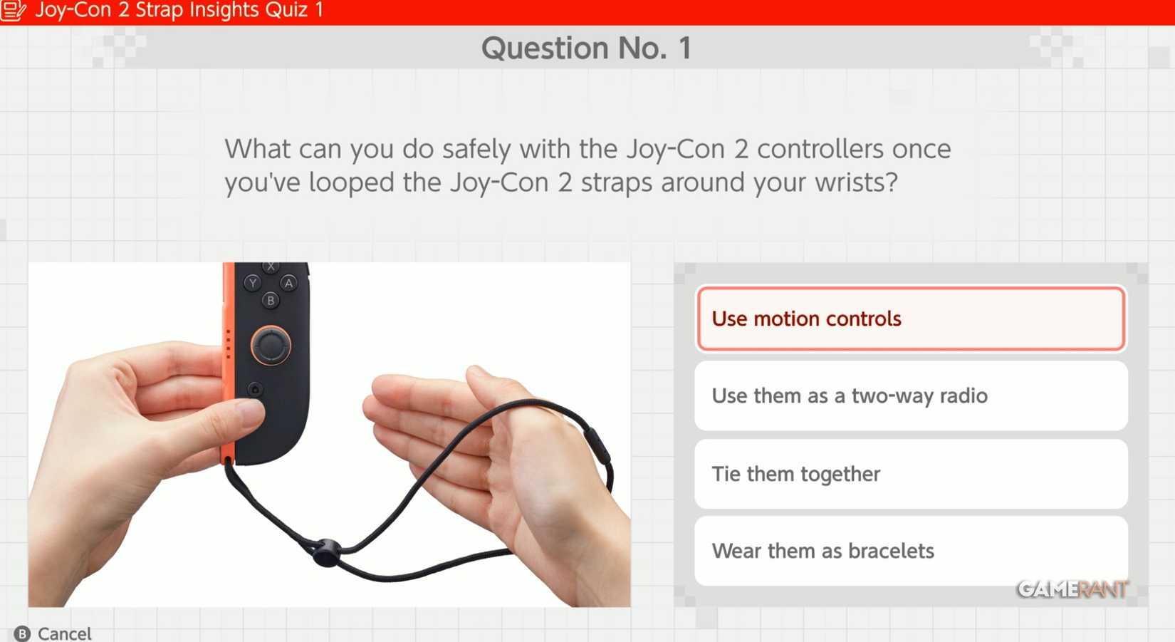 JOY CON STRAP INSIGHTS