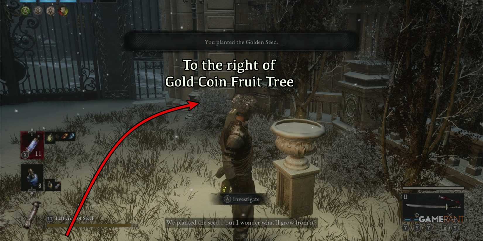 LoPO-Golden-Seed-Plant