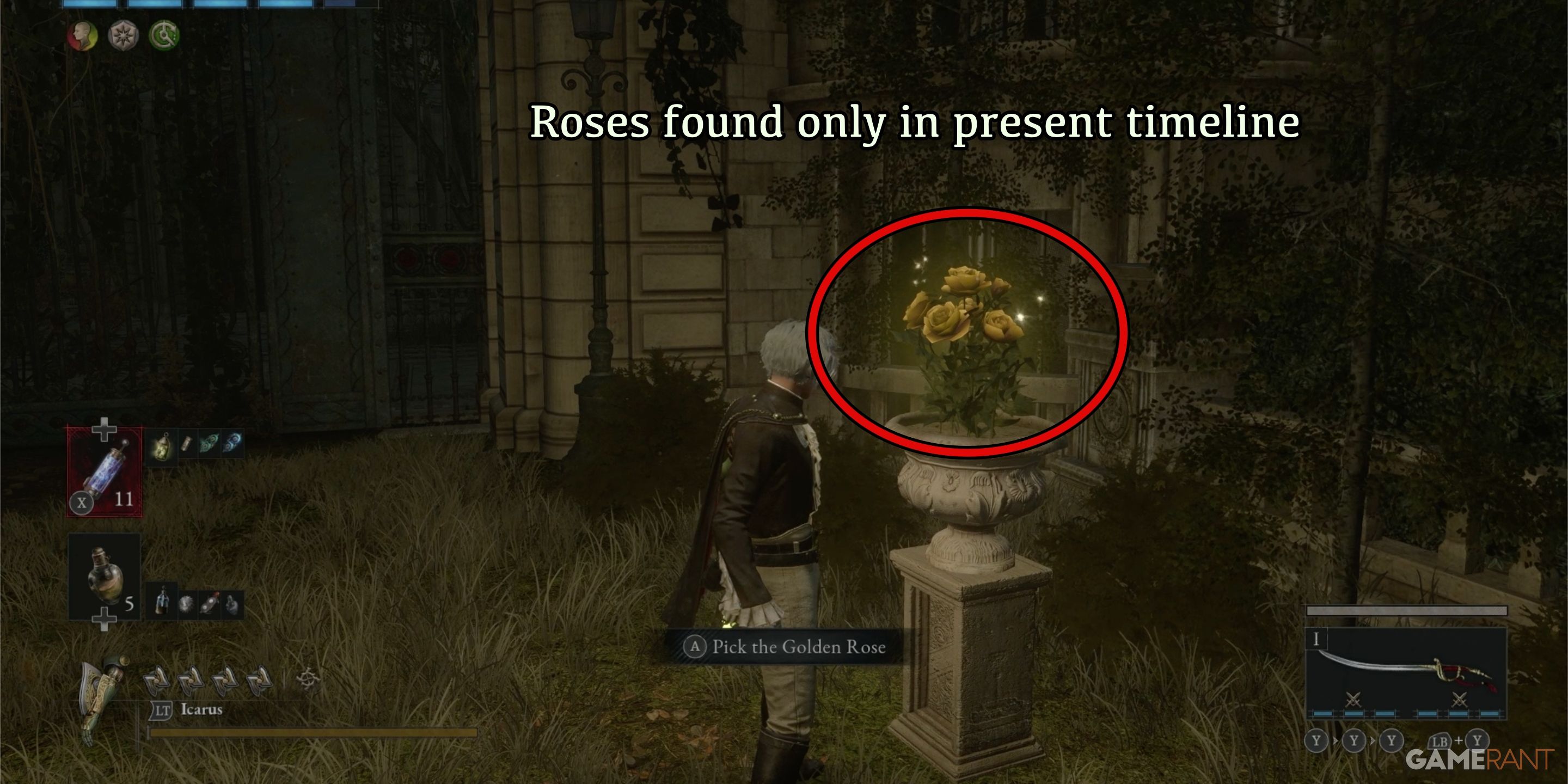 Lopo-Golden-Seed-Rose-Planter
