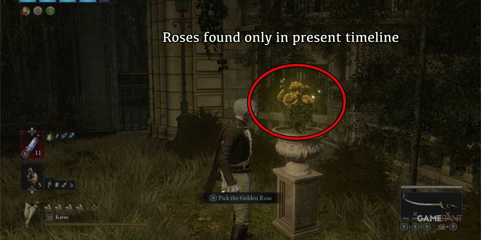 LoPO-Golden-Seed-Roses-Planter