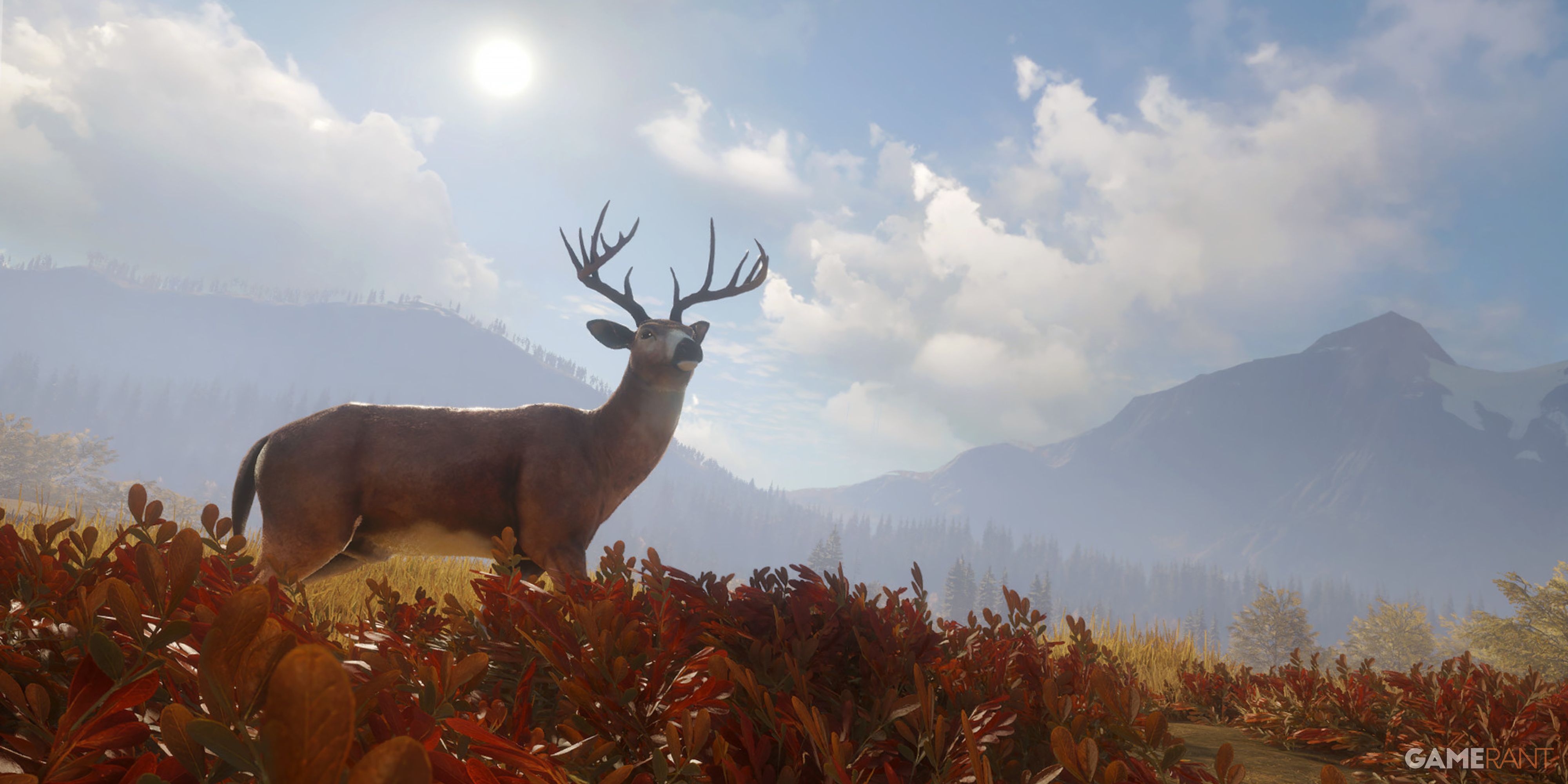 theHunter_ Call of the Wild deer-1
