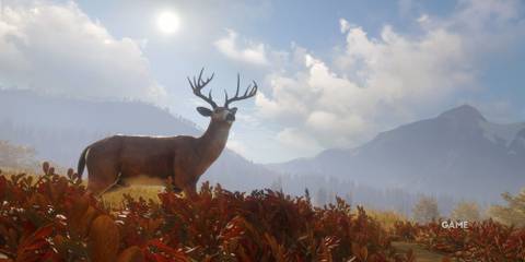 theHunter_ Call of the Wild deer-1
