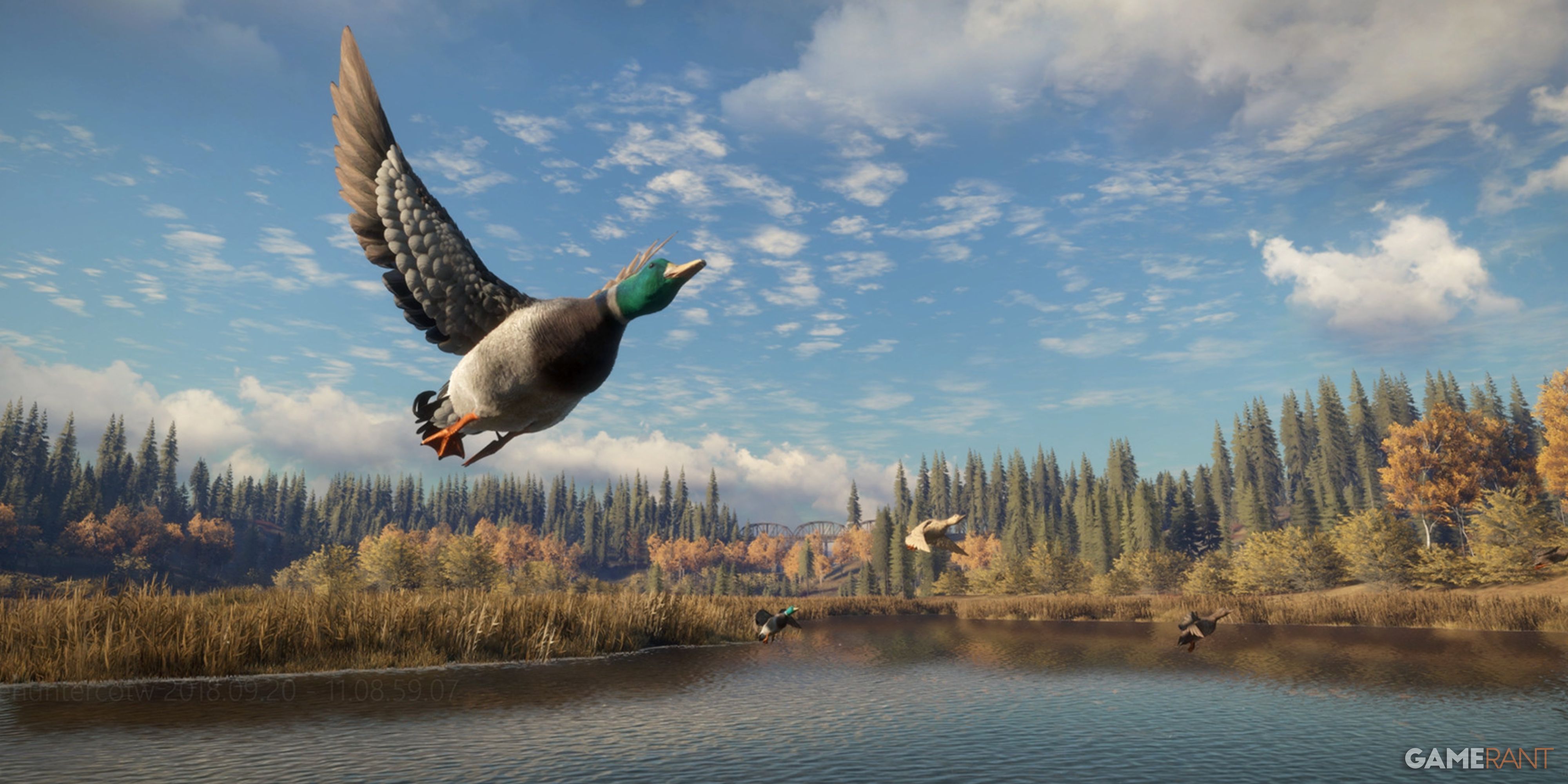 theHunter_ Call of the Wild Duck-1
