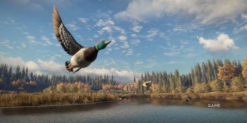 theHunter_ Call of the Wild Duck-1