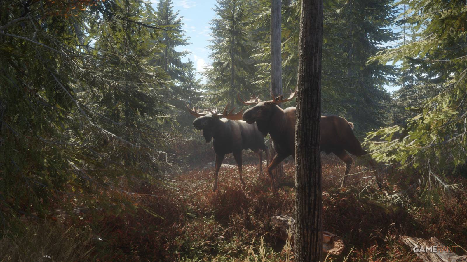 theHunter_ Call of the Wild Feature moose