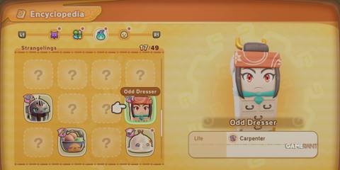 Odd Dresser in Fantasy Life I: The Girl Who Steals Time