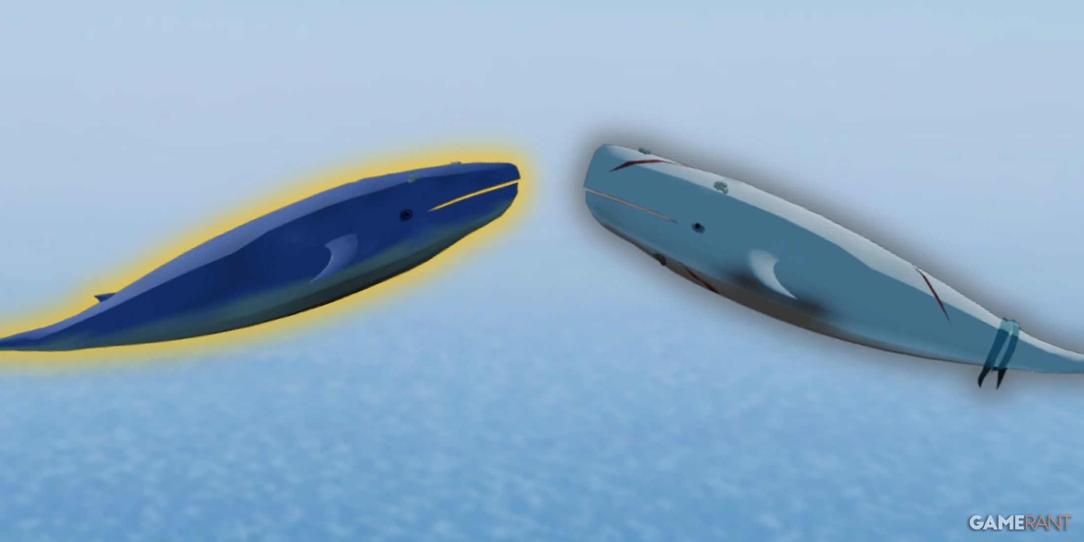 Whale Migration Event Guide for Fisch