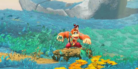 Donkey Kong Turf Surfing in DK Bananza