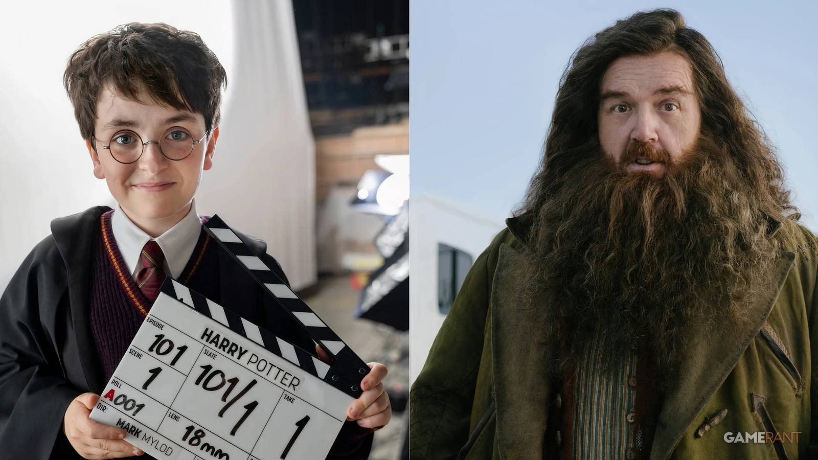 Hagrid and Harry Potter HBO