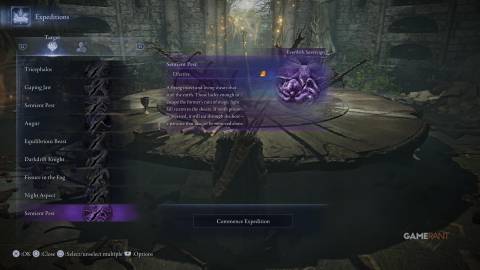 How To Beat Everdark Sovereign Sentient Pest in Elden Ring Nightreign 1