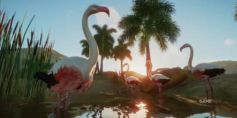 Planet Zoo Flamingos