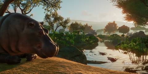 Planet Zoo Hippos