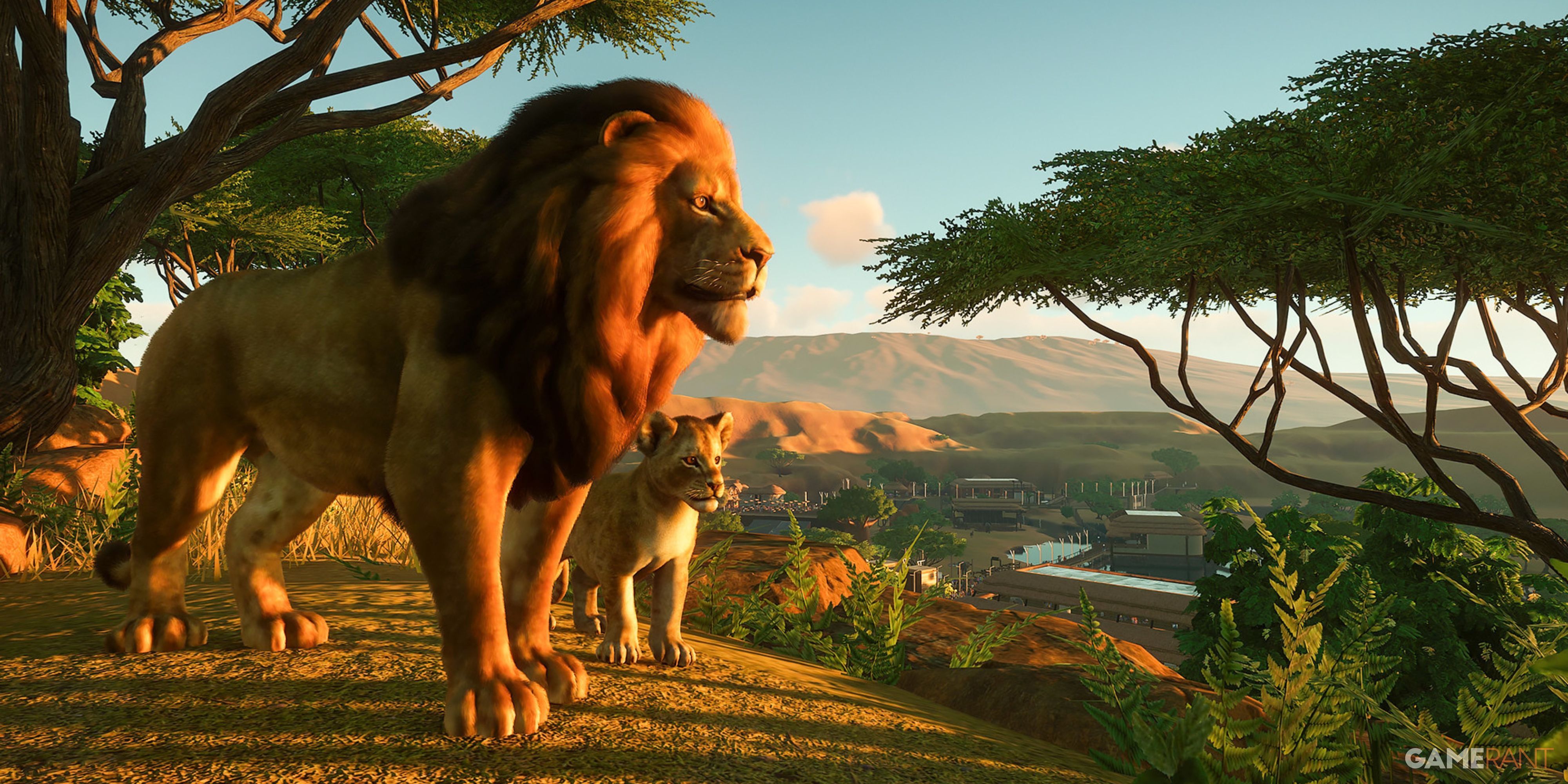 Planet Zoo Lions baby lion cub