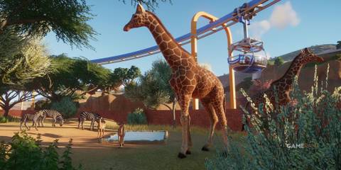 Planet Zoo Savana Zebras Giraffes