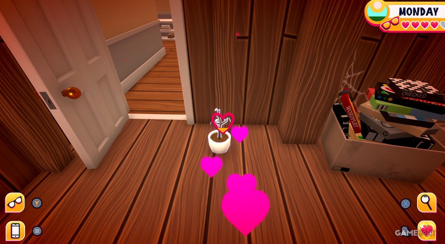 Plant prissy attic date all