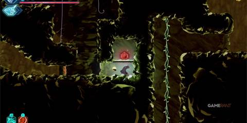 SL-HGM-1-Video-Image