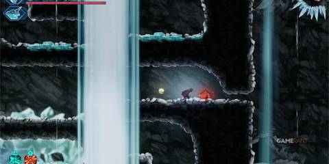 SL-HGM-2-Video-Image