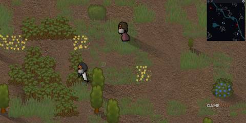 Two masked visitors stroll through a lush RimWorld meadow, illustrating Hospitality’s guest interaction system