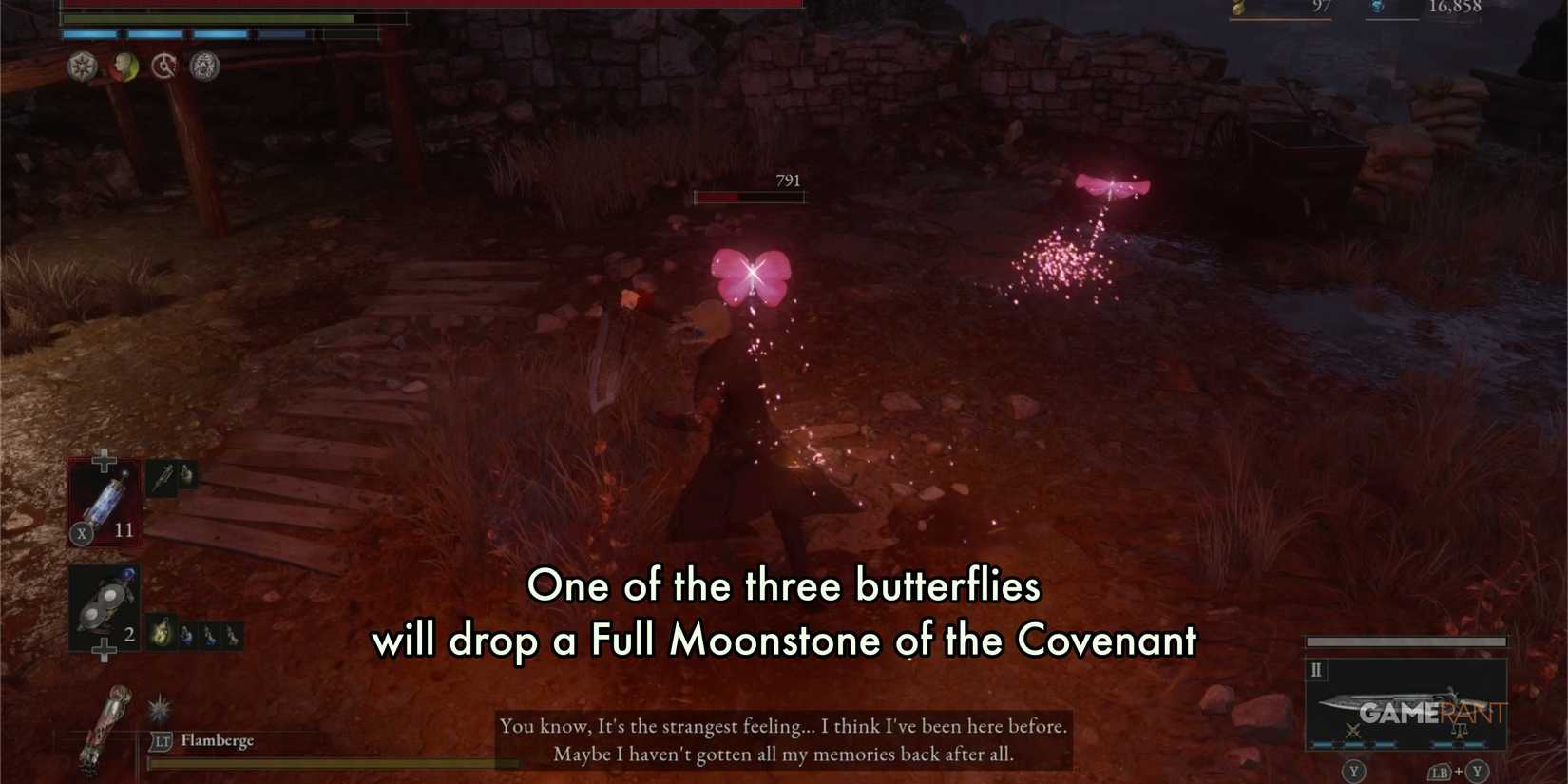 LoP-FMC2-Butterflies