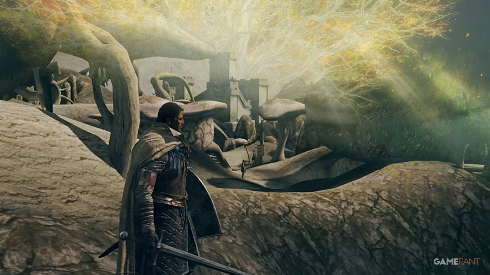 morrowind port into elden ring engine