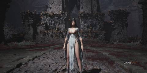 Wuchang Fallen Feathers Delicate Armor Set