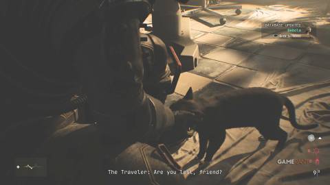 All Cats Locations in Cronos The New Dawn 2