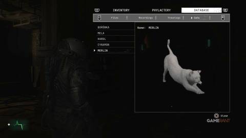 All Cats Locations in Cronos The New Dawn 3