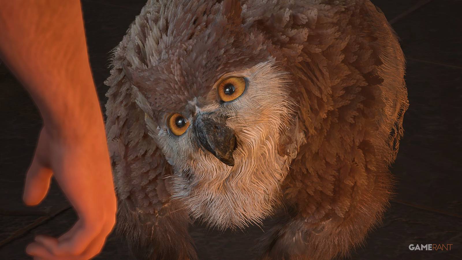 Baldur's Gate 3 DnD Owlbear Cub